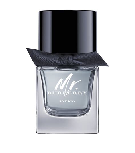 burberry mr eau de toilette|mr Burberry indigo 50ml.